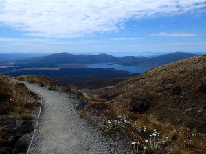 The looooooong way down