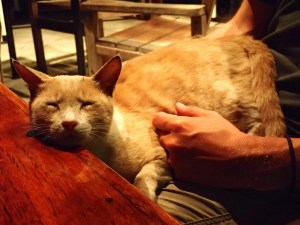 "uhhh yeees! I will miss you too"