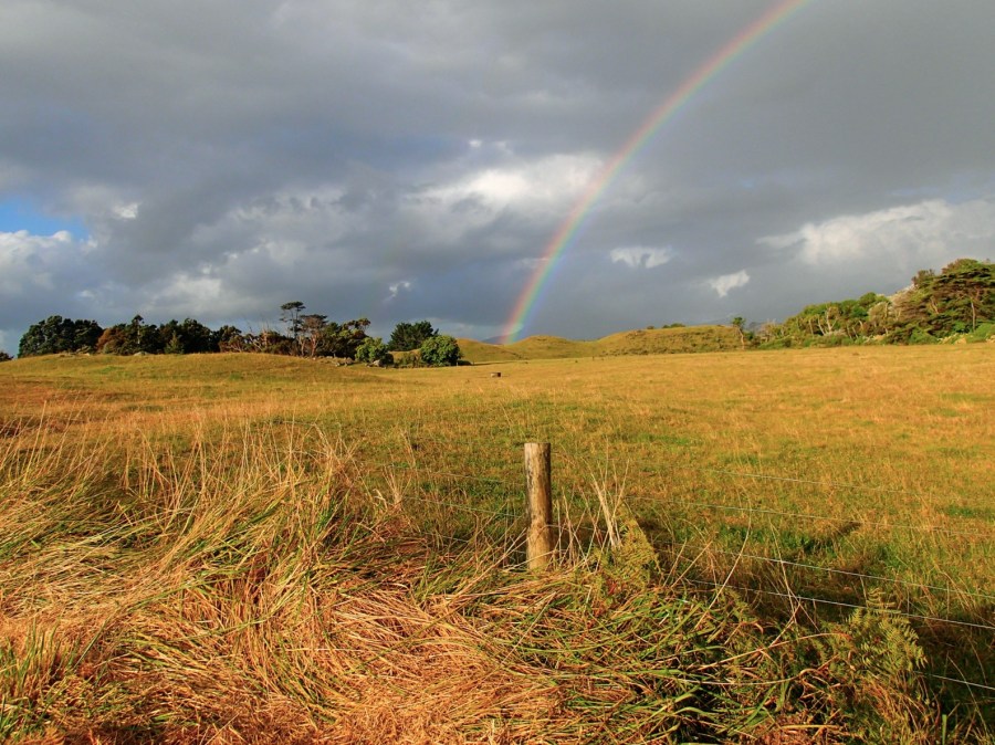 Road to Taranaki
